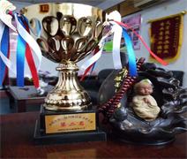 南陽(yáng)月嫂泓德家政公司_河南南陽(yáng)金牌月嫂技能大賽第二名